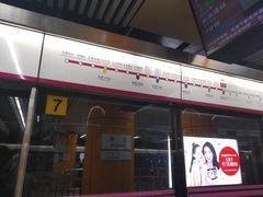 -大望路(地铁站)