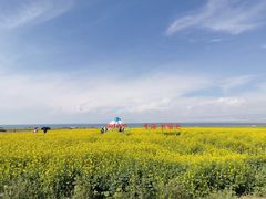 -青海湖国家重点风景名胜区