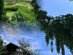 -芒洲湿地公园