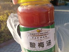 冰凉酸梅汤-多立亚冰激凌(塔城多立亚分店)