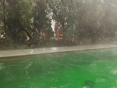 -仁爱团泊湖温泉中心