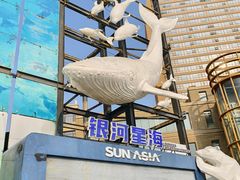 -大连圣亚海洋世界