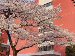 -浙江省杭州高级中学(贡院校区)