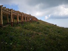 -白草畔自然风景区