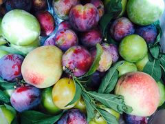 -南京市无想山景区