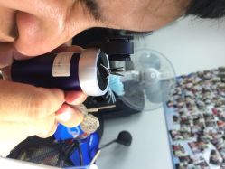 威德钻石-克拉钻专家&D色大本营-威德钻石-克拉钻大本营(南京东路店)