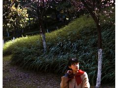 -龙头寺公园