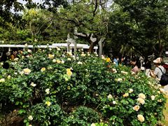 -人民公园(罗湖区)