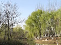 -西安浐灞国家湿地公园