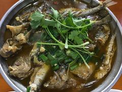 -全乐鱼馆·淳牌有机鱼直营店