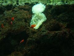 -苏州海洋馆