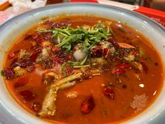 -杨氏青龙虾·羊蝎子(珠江路店)