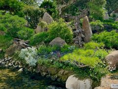 -罗红摄影艺术馆