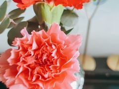 -望湘园·洞庭渔宴(浦江欢乐颂店)