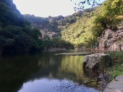 -少华山国家森林公园