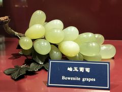 -中国地质大学逸夫博物馆