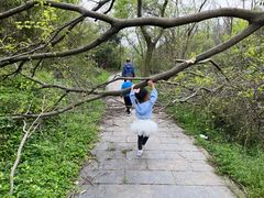 -青龙山国家森林公园