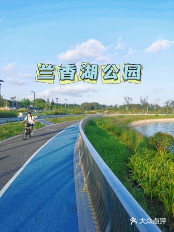 魔都网红湖景公园 "兰香湖公园"