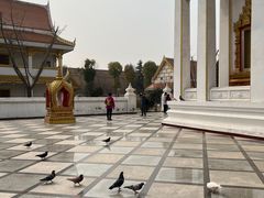 -洛阳白马寺