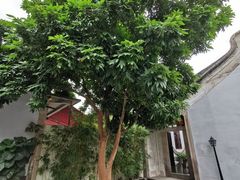 -吴祥记潮州菜·百年老字号·砂锅粥