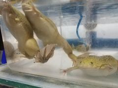 -浙江农林大学(东湖校区)