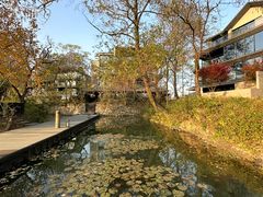 -木守西溪溪隐餐厅