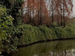 -成都南湖公园