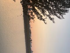 -南宁南湖公园