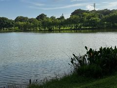 -东莞植物园