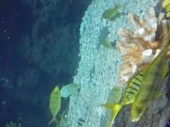 android_upload_pic-郑州海洋馆