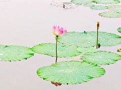 -滆湖低碳生态公园