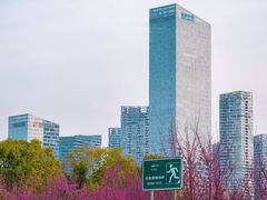 -天鹅湖体育公园