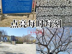 -天津金海湖