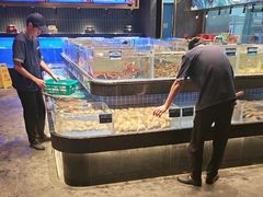 -青蓬蒸汽海鲜·深圳老字号·团建聚会(壹方城店)