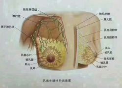 -姜美堂·蒸姜除湿の纤体美颜馆
