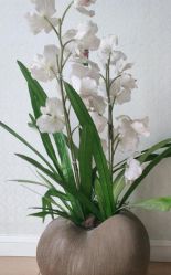 -昆明梦想医疗美容医院