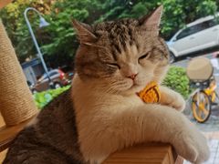 -VR+乐园·VR电竞·家庭亲子·密室逃脱·轰趴团建