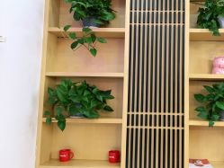 点击看大图 -WENDY·温迪皮肤管理