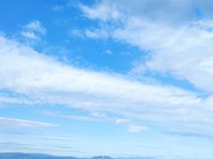 -仙岳公园