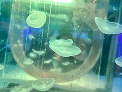 -常州海昌海洋探索馆