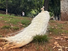-昆明动物园