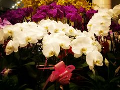 -富力希尔顿酒店·地阔自助餐厅