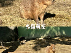 -成都欢乐谷