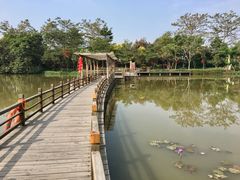 -大湾区中央湿地公园