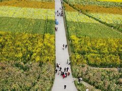 -中国天府农业博览园