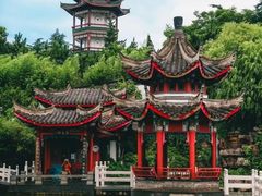 -南山公园