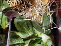 -古彭7只羊·招牌白串·碳锅羊肉旗舰店