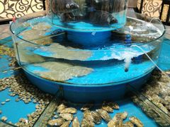 -咱家大院海鲜家常菜