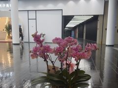 -富淳饭店(陆家嘴保利广场店)