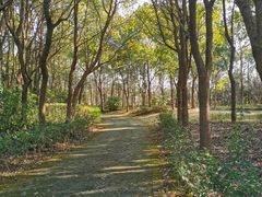 -太阳岛度假酒店